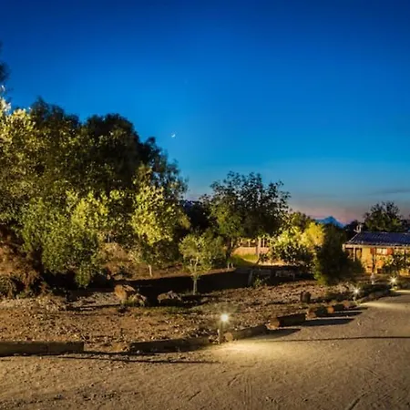 The Olive Tree Holiday home