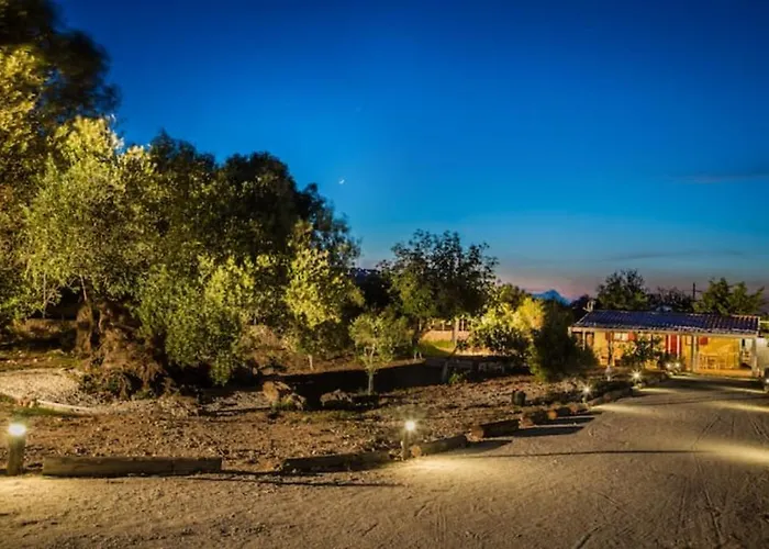 The Olive Tree Holiday home