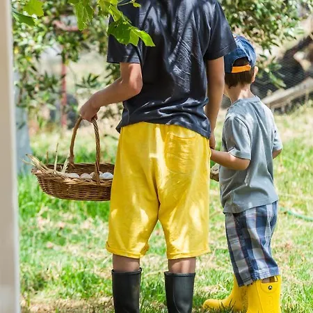 The Olive Tree Holiday home *