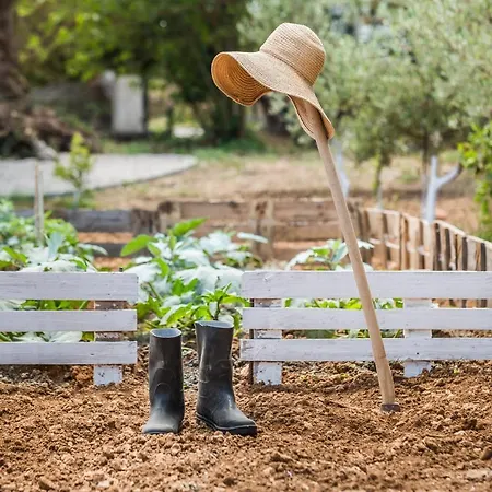 度假居 The Olive Tree 阿尔戈斯托利翁