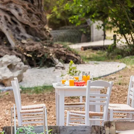 Σπίτι διακοπών The Olive Tree *