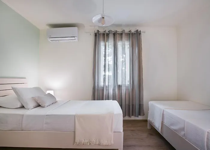 The Olive Tree 阿尔戈斯托利翁