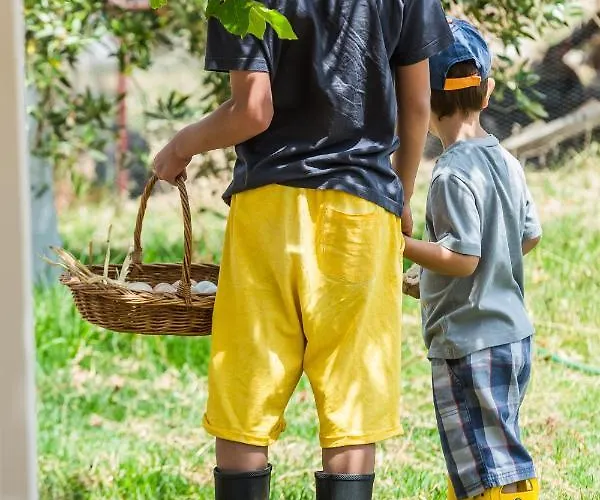 The Olive Tree 度假居 *