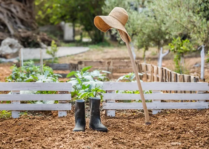 度假居 The Olive Tree 阿尔戈斯托利翁