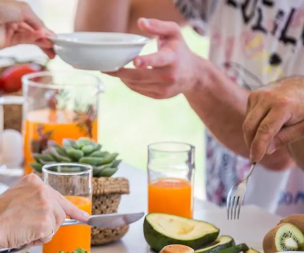 度假居 The Olive Tree